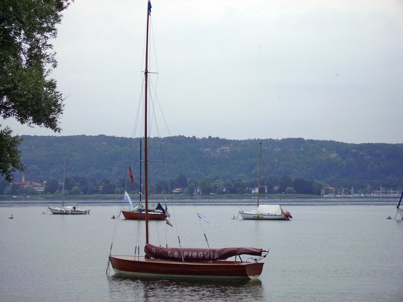 invela8.jpg