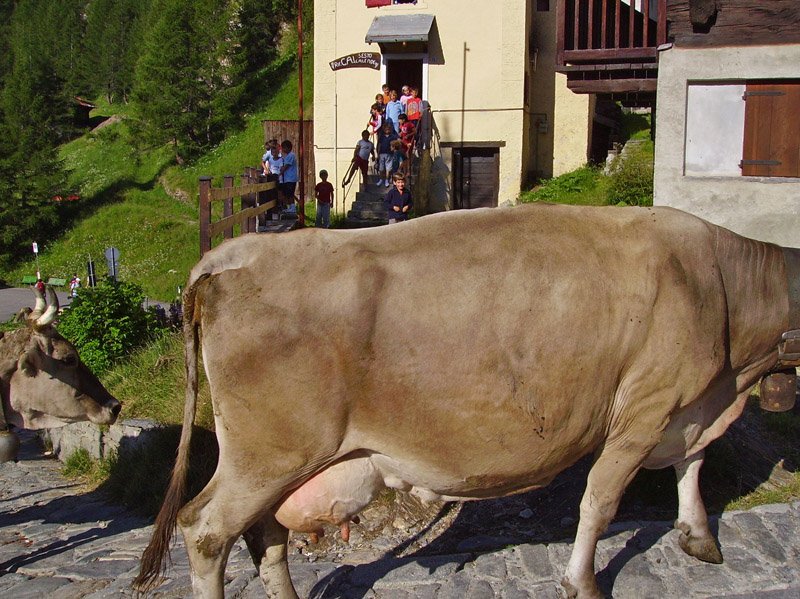 devero6.jpg