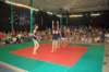 seratafinale53_small.jpg