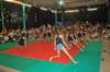 seratafinale54_small.jpg