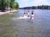 marnagiochiinacqua_small.jpg