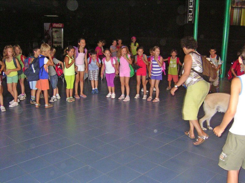 allamarna16.jpg