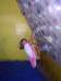 arrampicata9_small.jpg