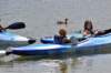 canoa43_small.jpg