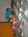 dimostrazionefreeclimbing6_small.jpg