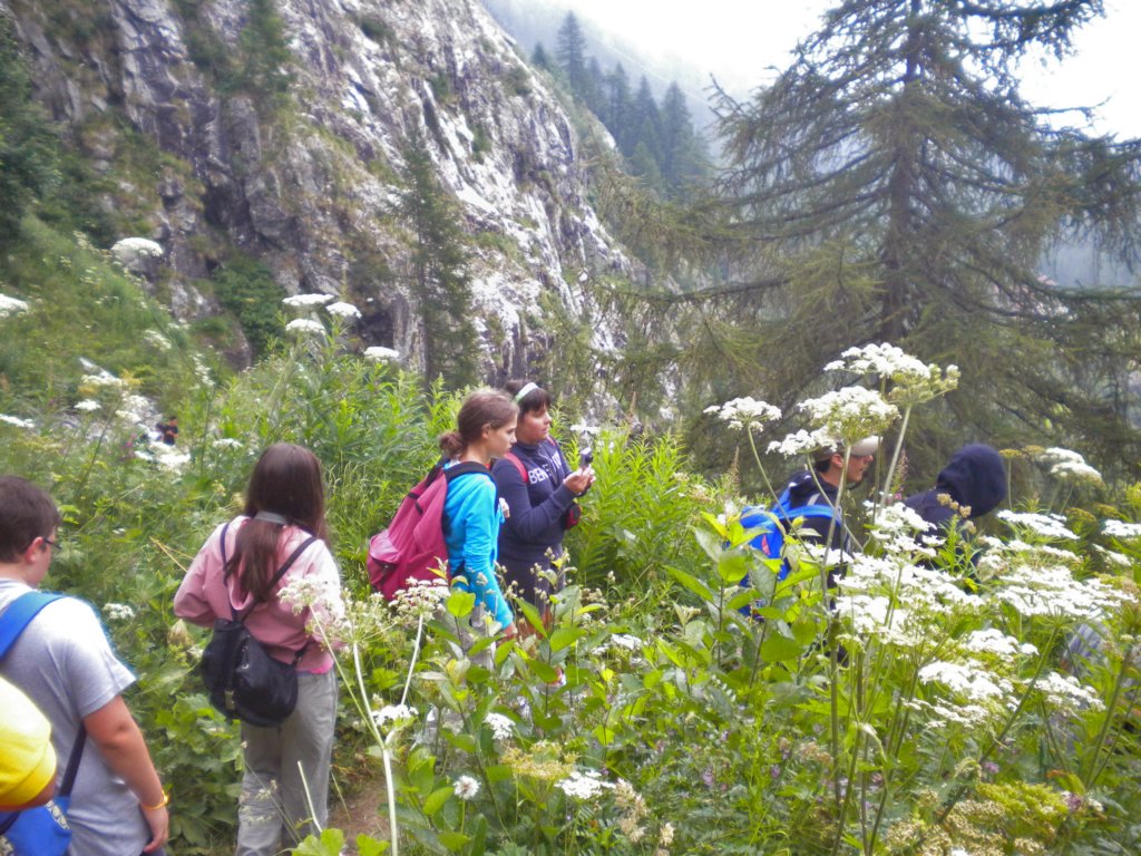 montagna47.jpg
