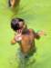 albiolagodimercallo29_small.jpg