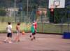 basket2_small.jpg