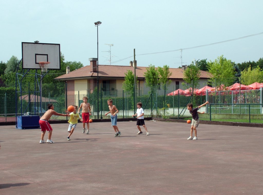 basket12.jpg