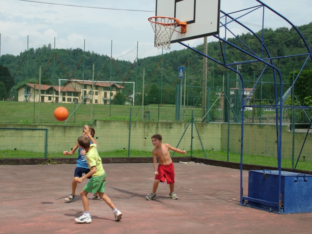 basket17.jpg