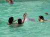 inpiscina39_small.jpg