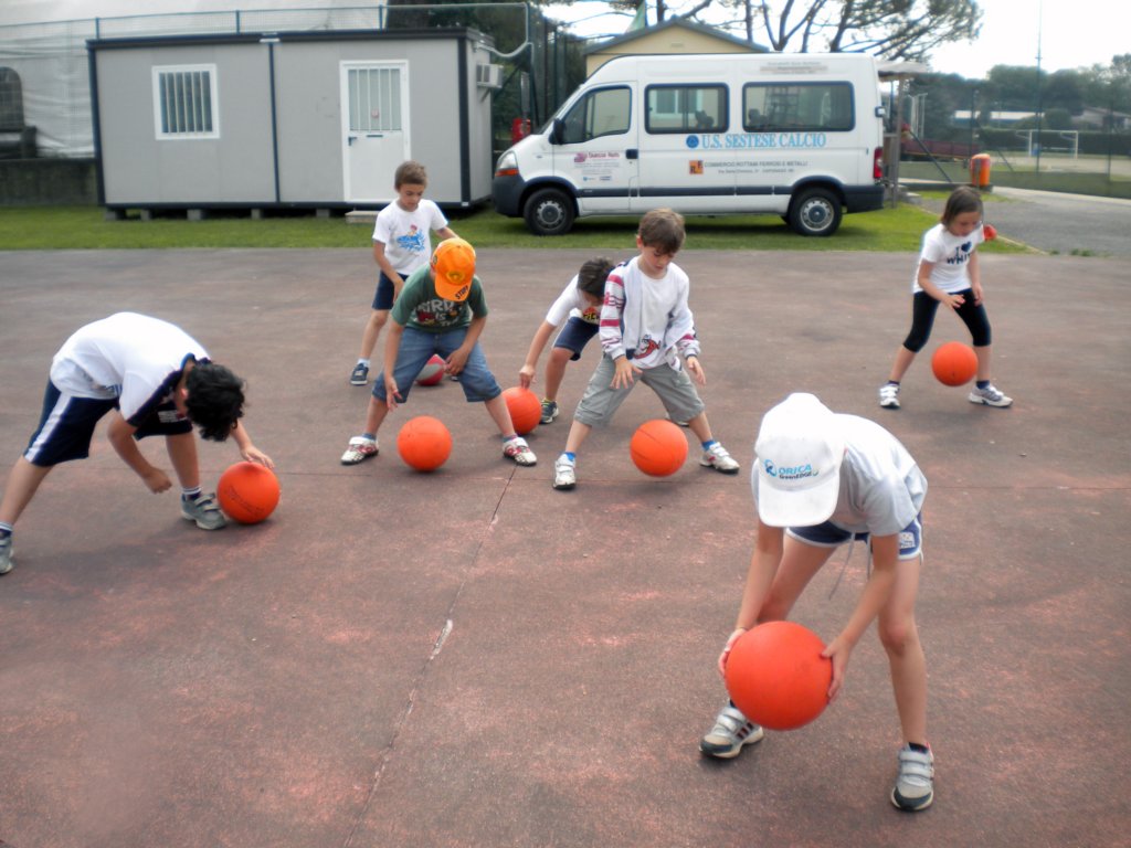 basket4.jpg