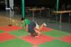jujitsu11_small.jpg