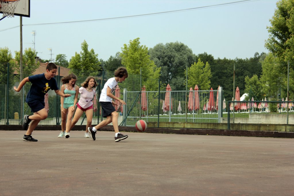 basket15.jpg