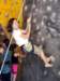 freeclimbing_small.jpg
