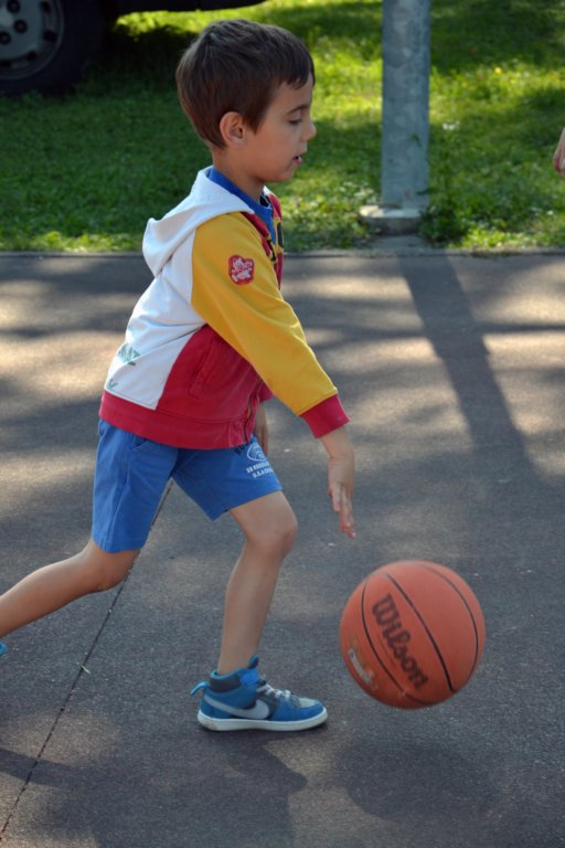 pallacanestro6.jpg