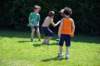 calcio26_small.jpg