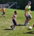 calcio31_small.jpg
