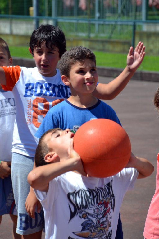 basket16.jpg