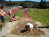 atletica7_small.jpg
