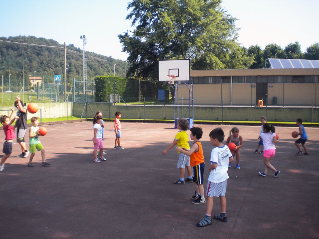 pallacanestro5.jpg
