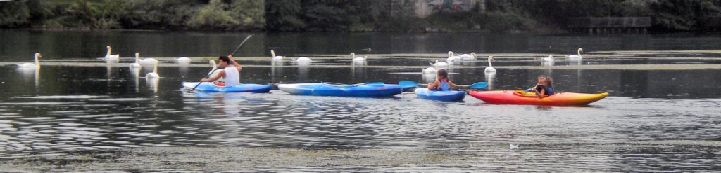 canoa50.jpg