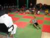 jujitsu2_small.jpg