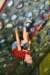 freeclimbing5_small.jpg