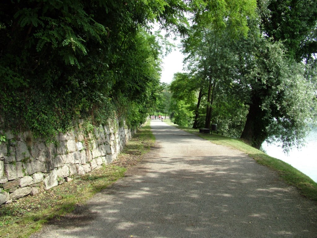 photo97.jpg