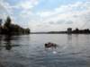 wakeboard17_small.jpg