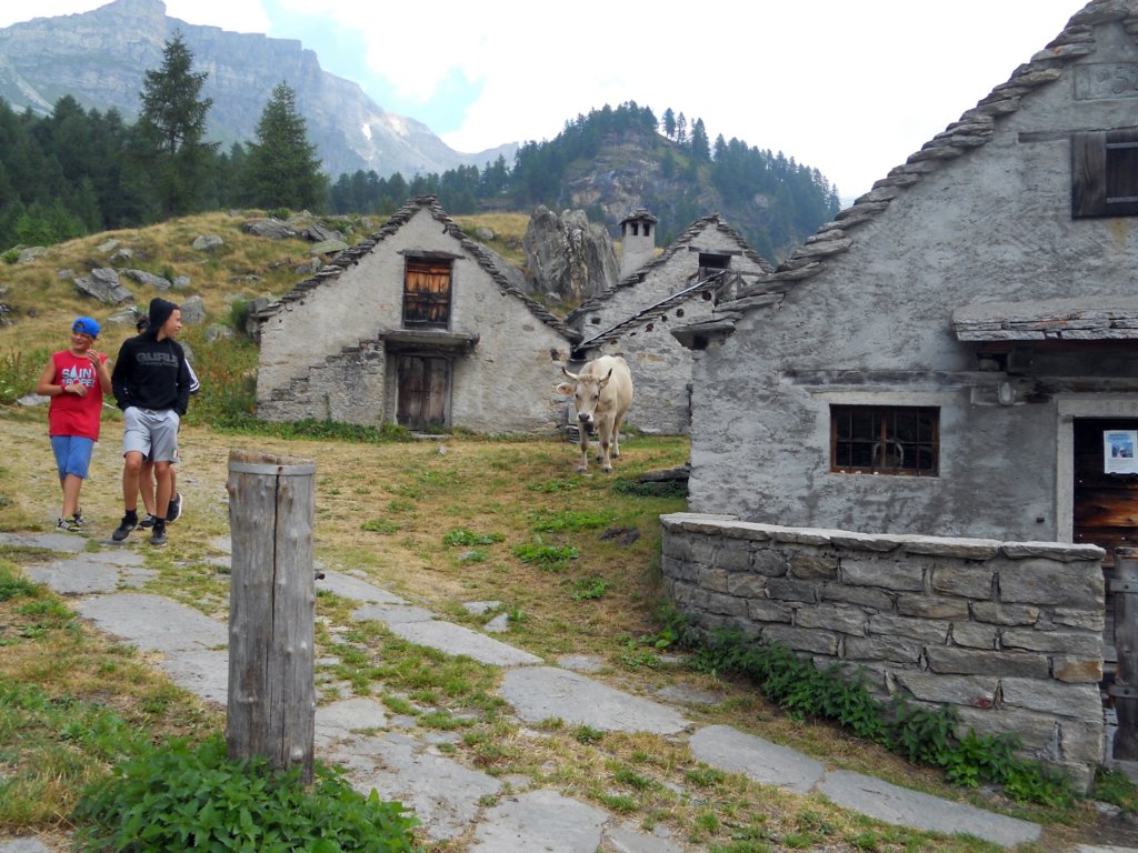 alpeveglia108.jpg