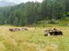 alpeveglia16_small.jpg