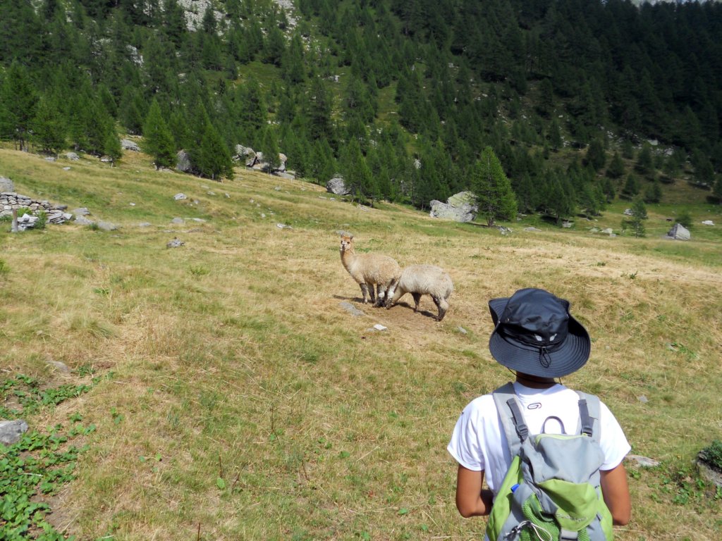 alpeveglia38.jpg
