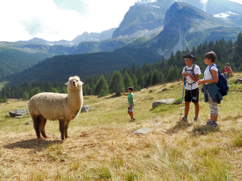 alpeveglia40.jpg