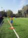 alcamposportivo38_small.jpg