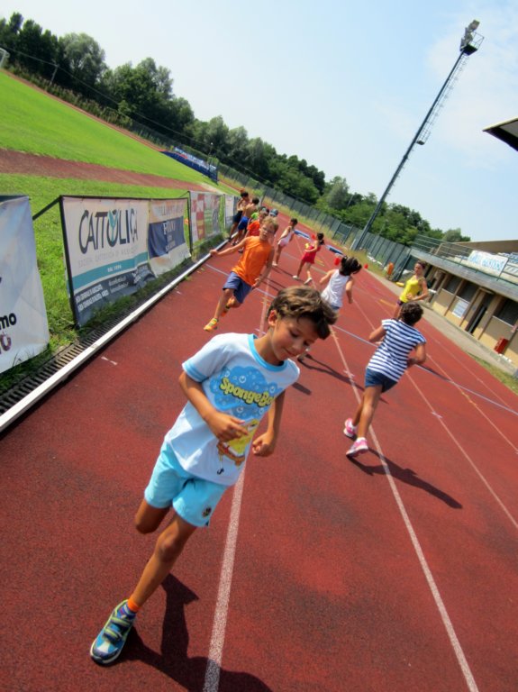 alcamposportivo69.jpg