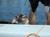 wakeboard17_small.jpg