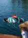 wakeboard22_small.jpg