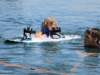 wakeboard30_small.jpg