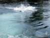 wakeboard57_small.jpg