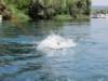 wakeboard74_small.jpg