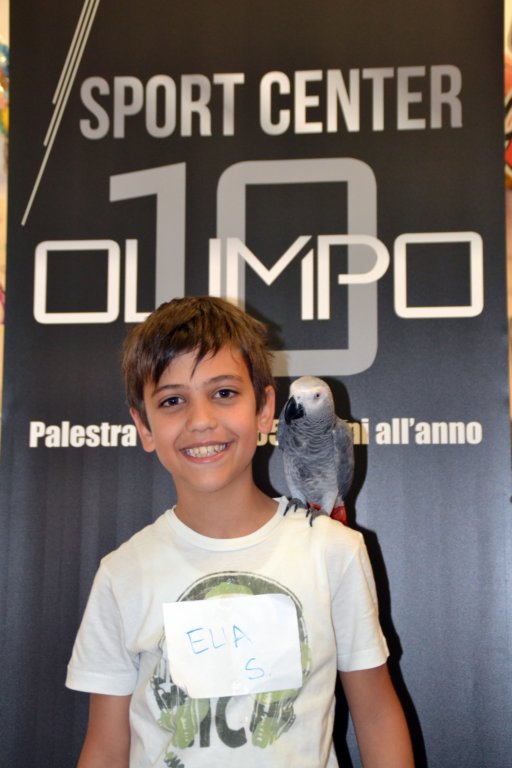palestraolimpolandia215.jpg