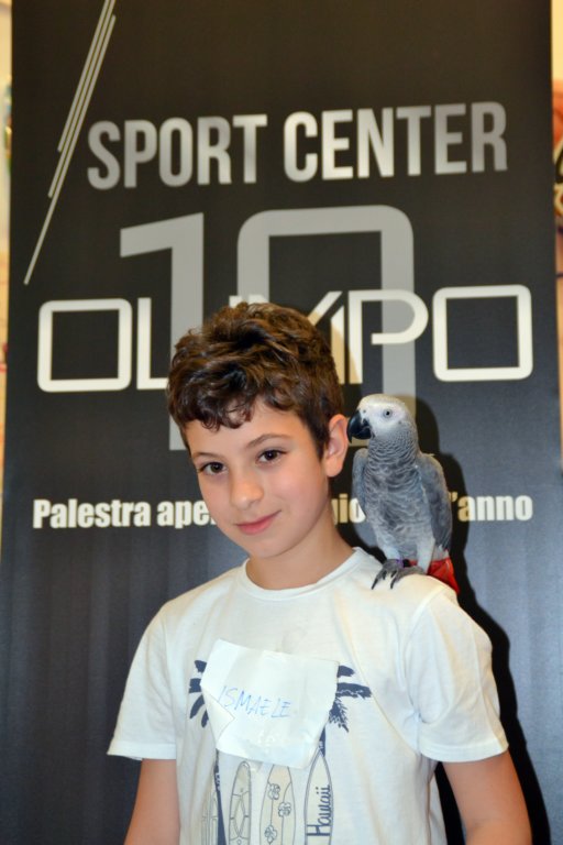 palestraolimpolandia229.jpg