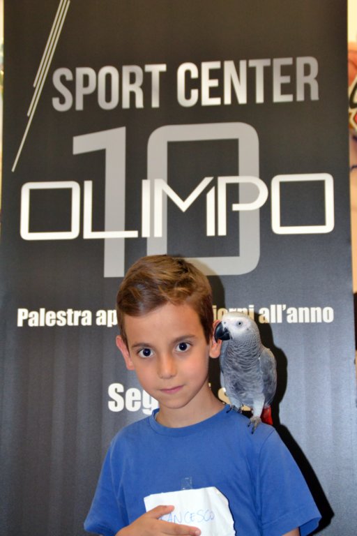 palestraolimpolandia230.jpg