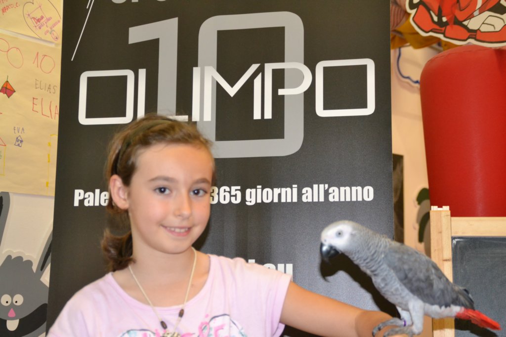 palestraolimpolandia233.jpg