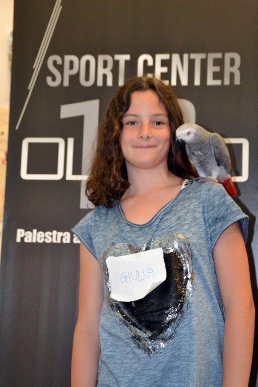 palestraolimpolandia26.jpg