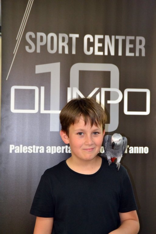 palestraolimpolandia221.jpg