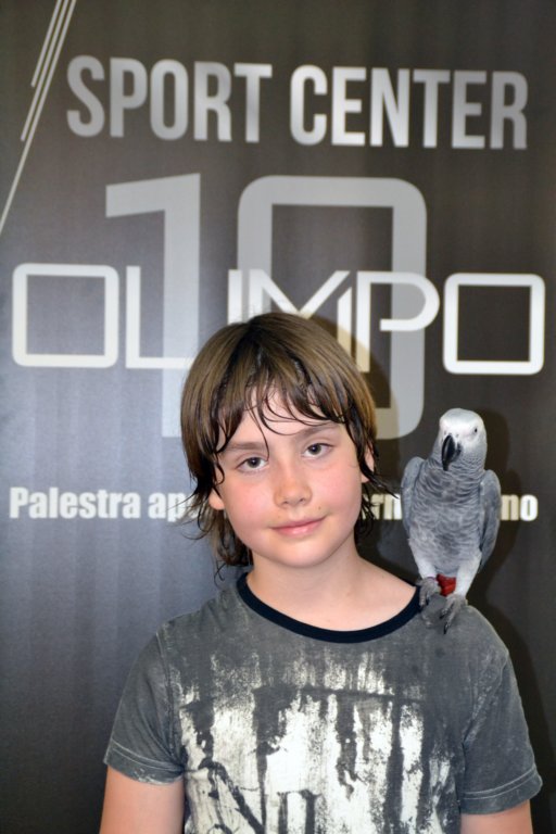 palestraolimpolandia225.jpg