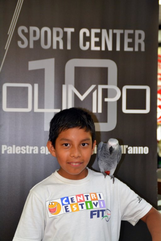palestraolimpolandia230.jpg