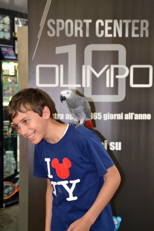 palestraolimpolandia237.jpg
